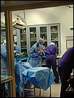 DSCN3869.JPG