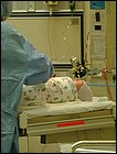 DSCN3882.JPG
