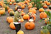 IMG_6990.JPG