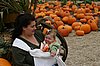 IMG_7010.JPG