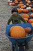 IMG_7076.JPG