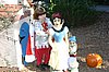 IMG_7479.JPG