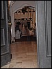 P1010109.JPG
